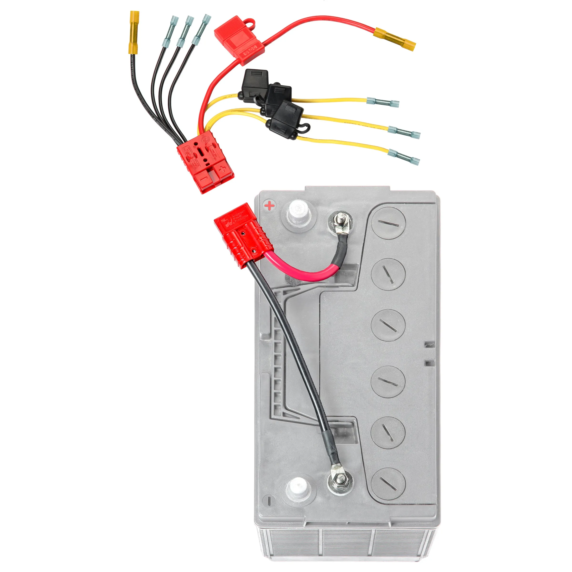 12 Volt Multi (4) Fused Connection Kit Fuses Included (RCE12VB4FK) Lithium Compatible