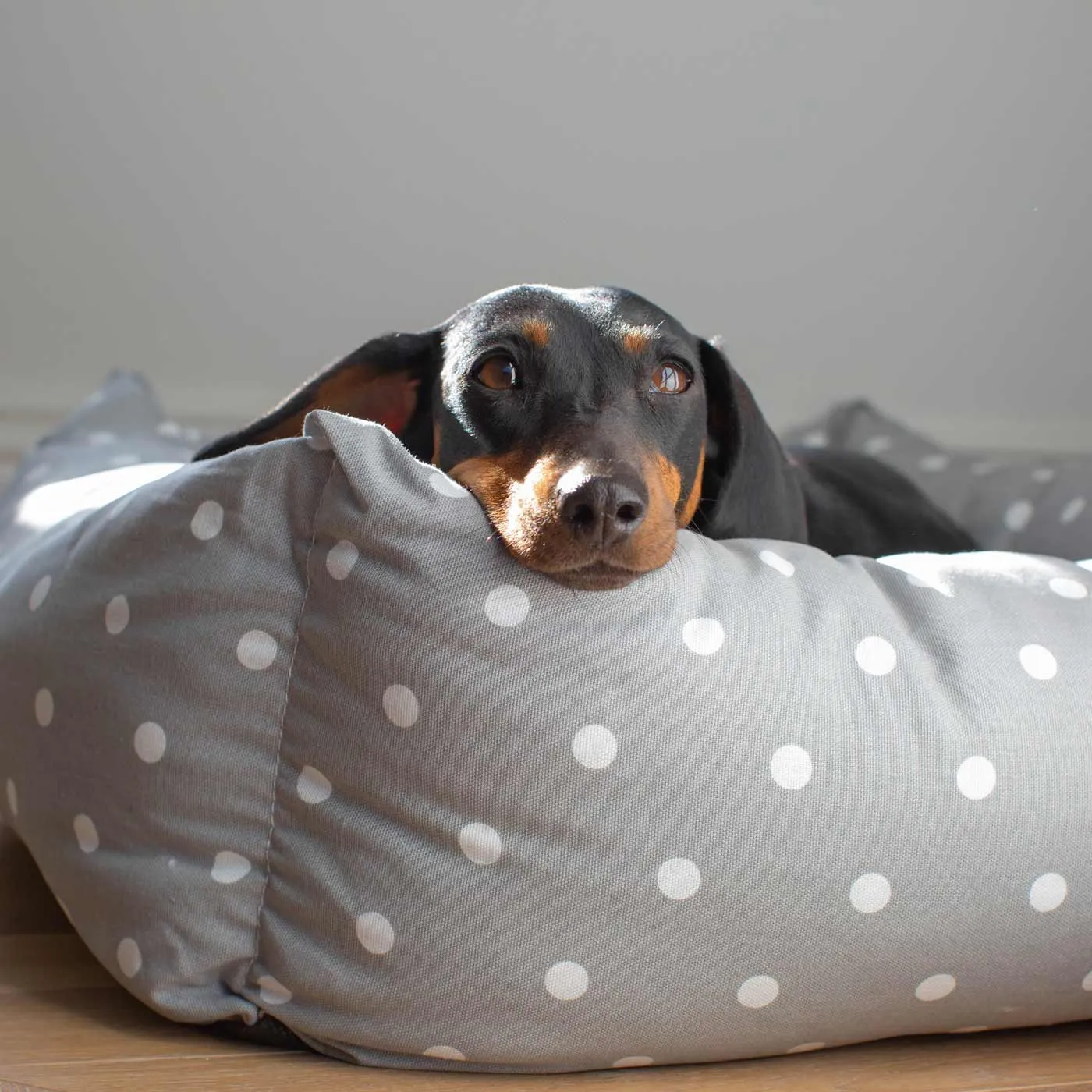 Box Bed With Removable Covers in Grey Spot by Lords & Labradors