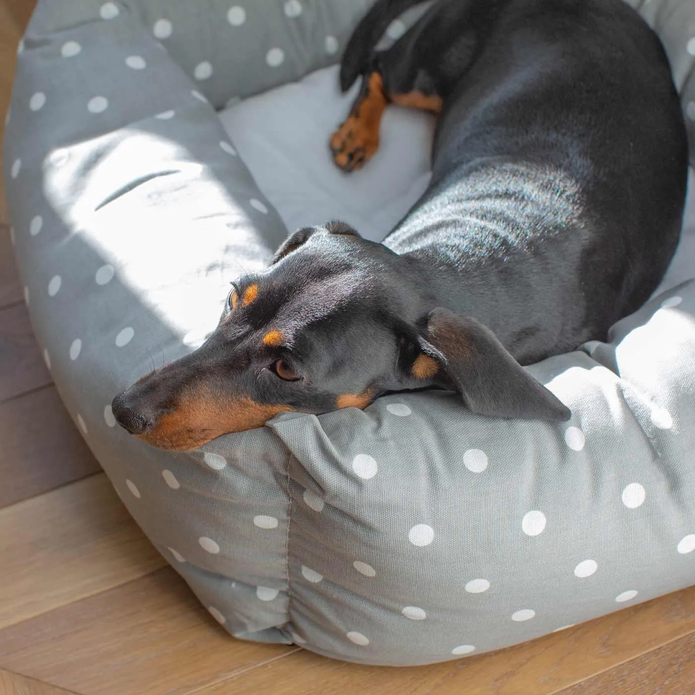 Box Bed With Removable Covers in Grey Spot by Lords & Labradors