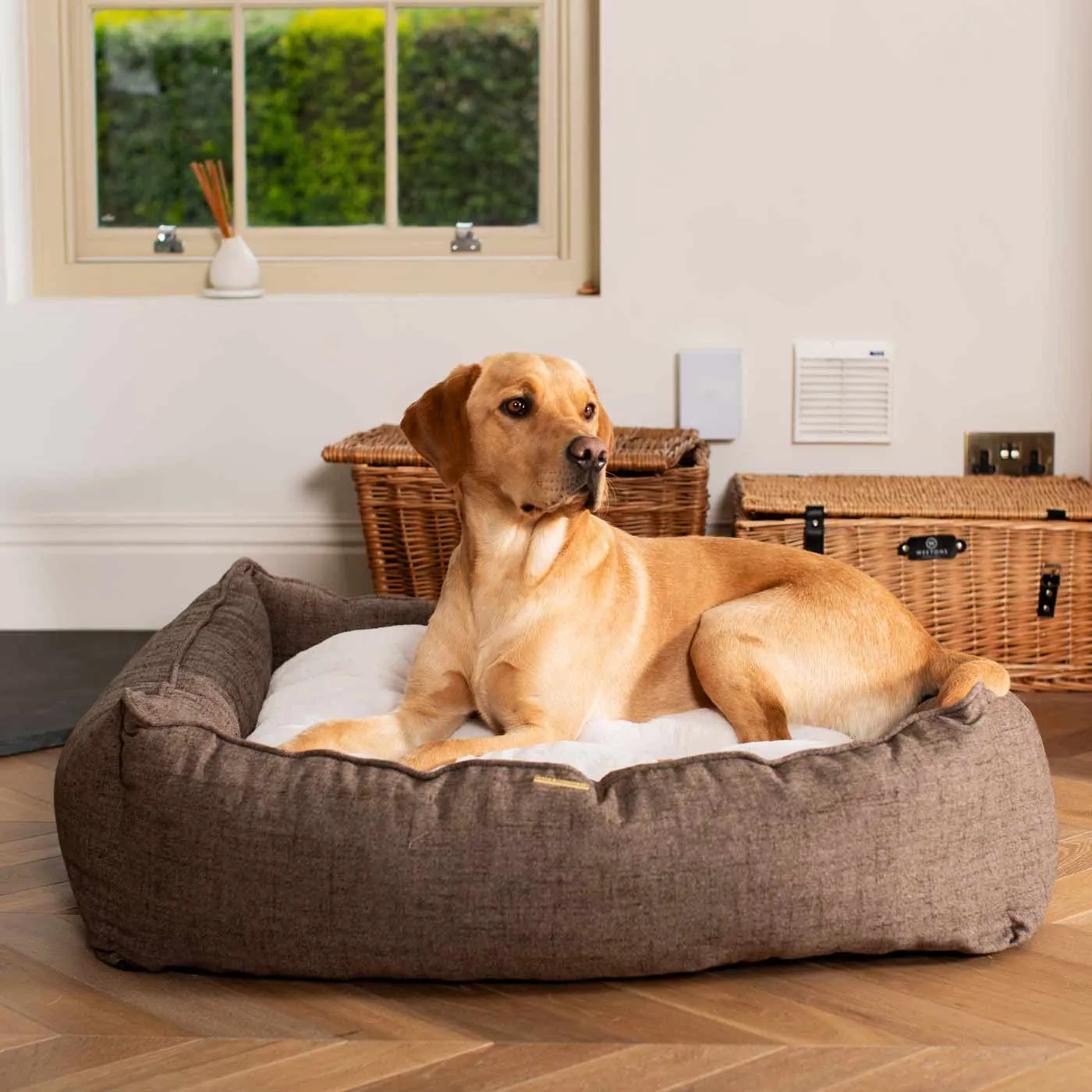 Box Bed With Removable Covers In Inchmurrin Umber by Lords & Labradors