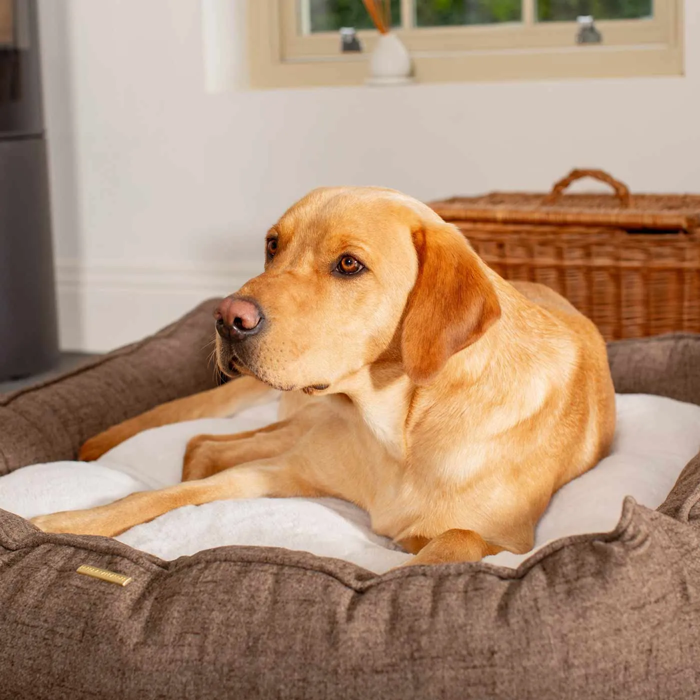 Box Bed With Removable Covers In Inchmurrin Umber by Lords & Labradors