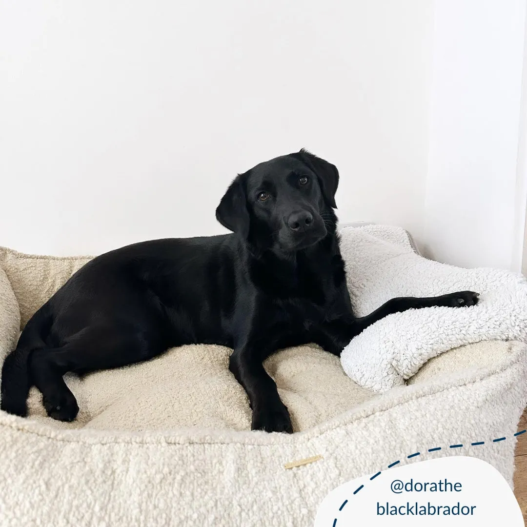 Box Bed With Removable Covers in Ivory Bouclé by Lords & Labradors