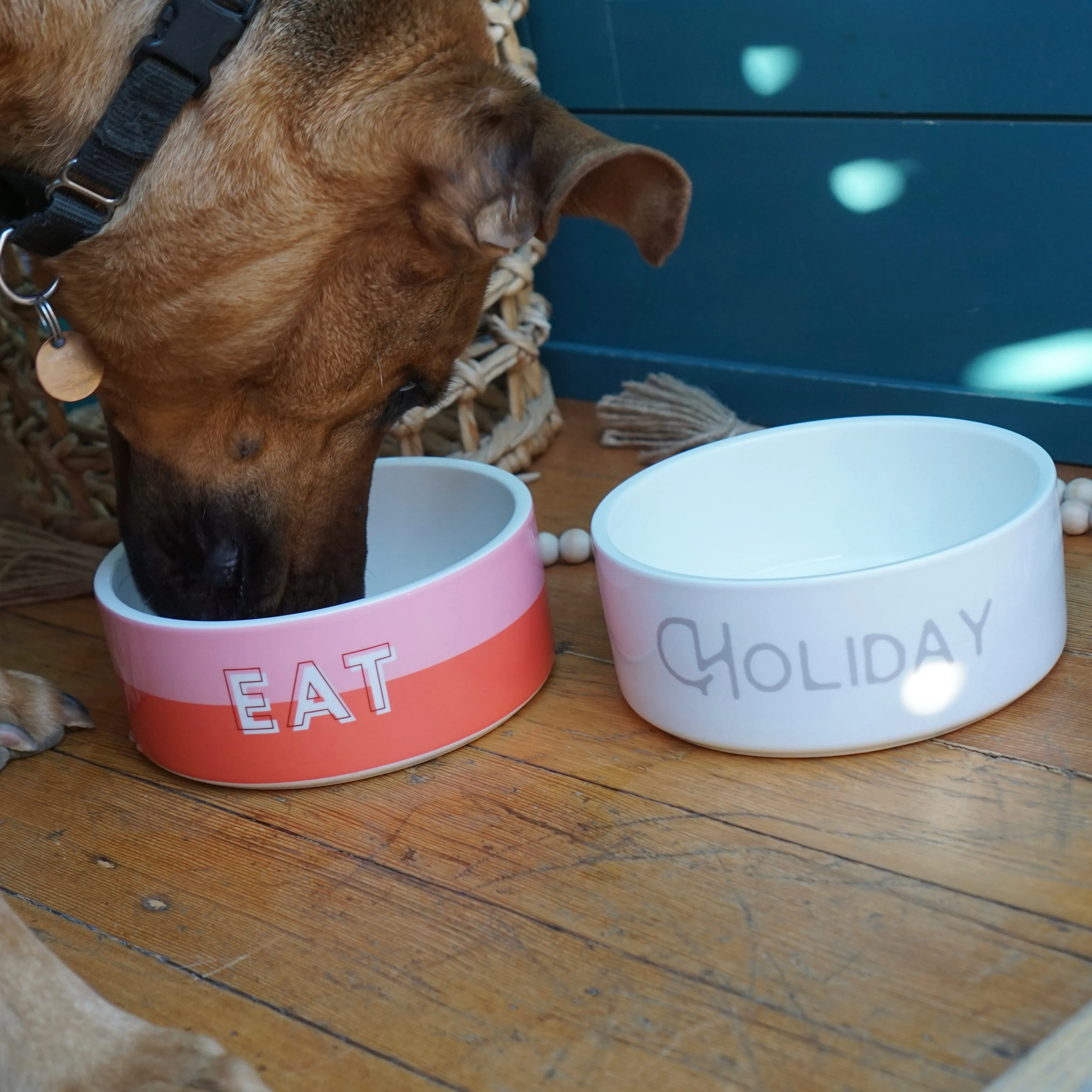 Custom Color Duo Dog Bowl