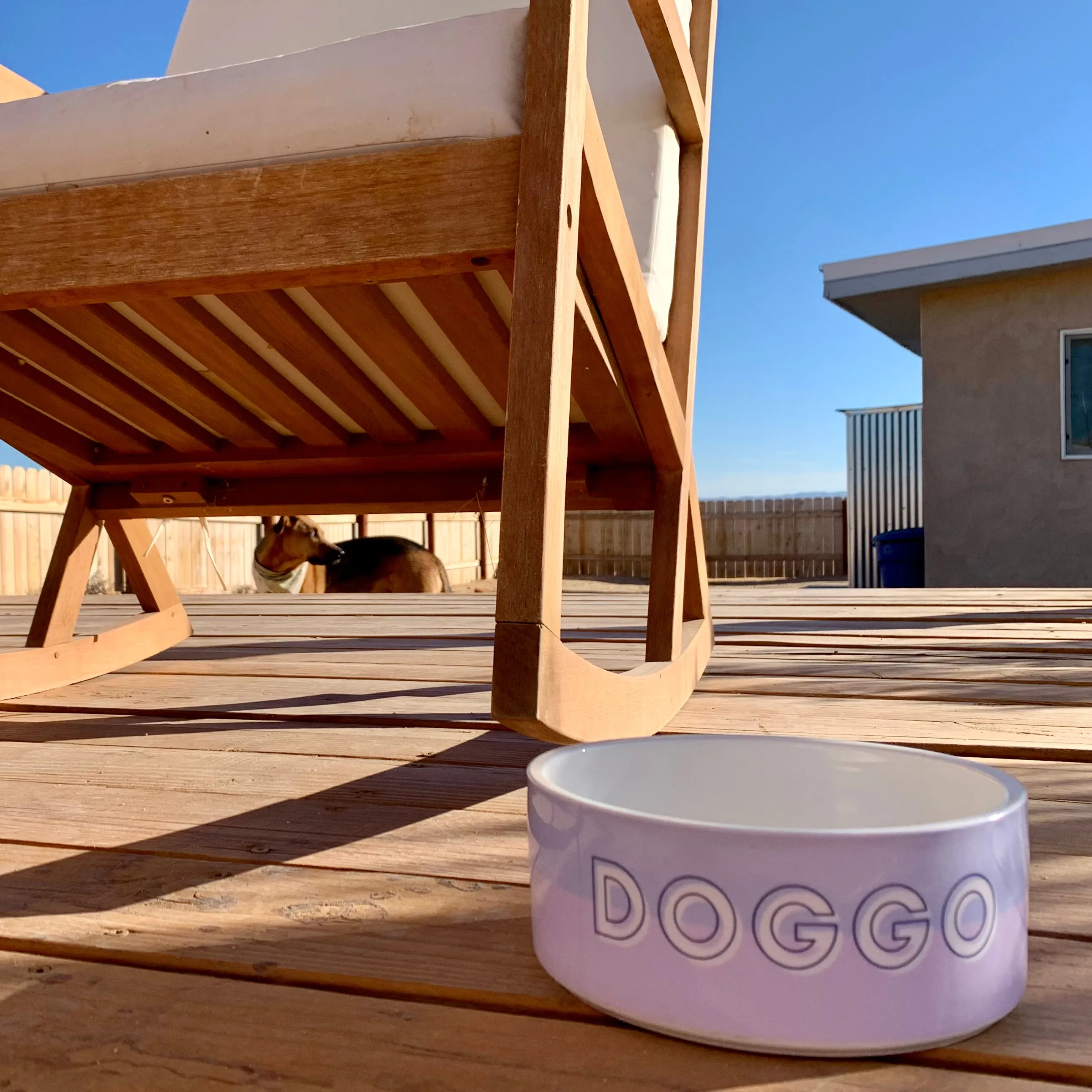 Custom Dog Bowl: Personalized Colors, Fonts, And Name