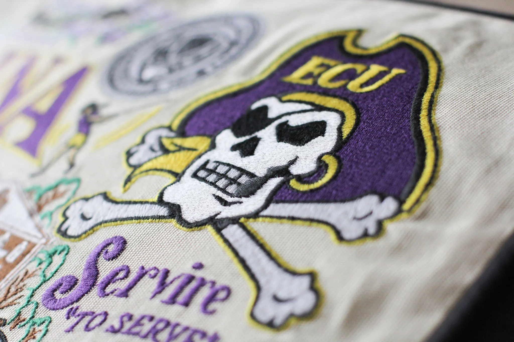 EAST CAROLINA UNIVERSITY PILLOW BY CATSTUDIO