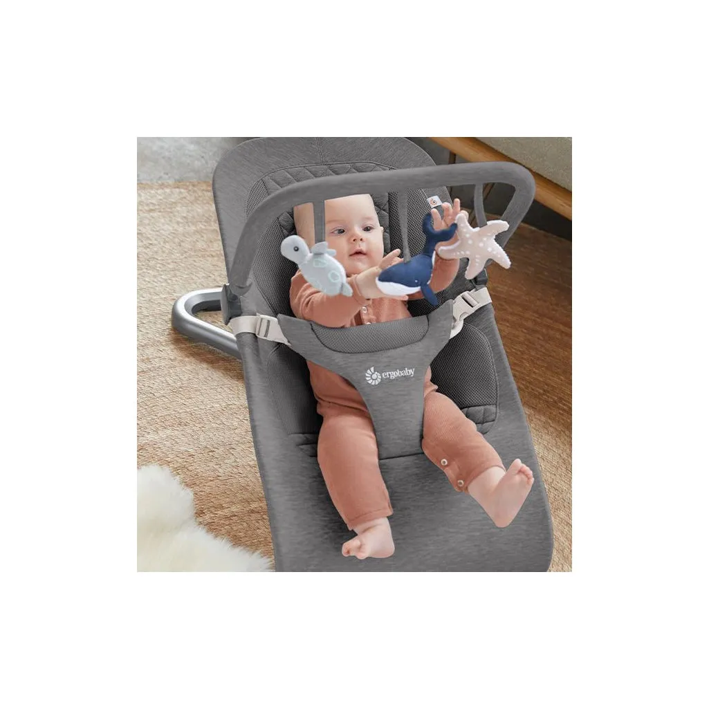 Ergobaby Evolve Bouncer Toy Bar