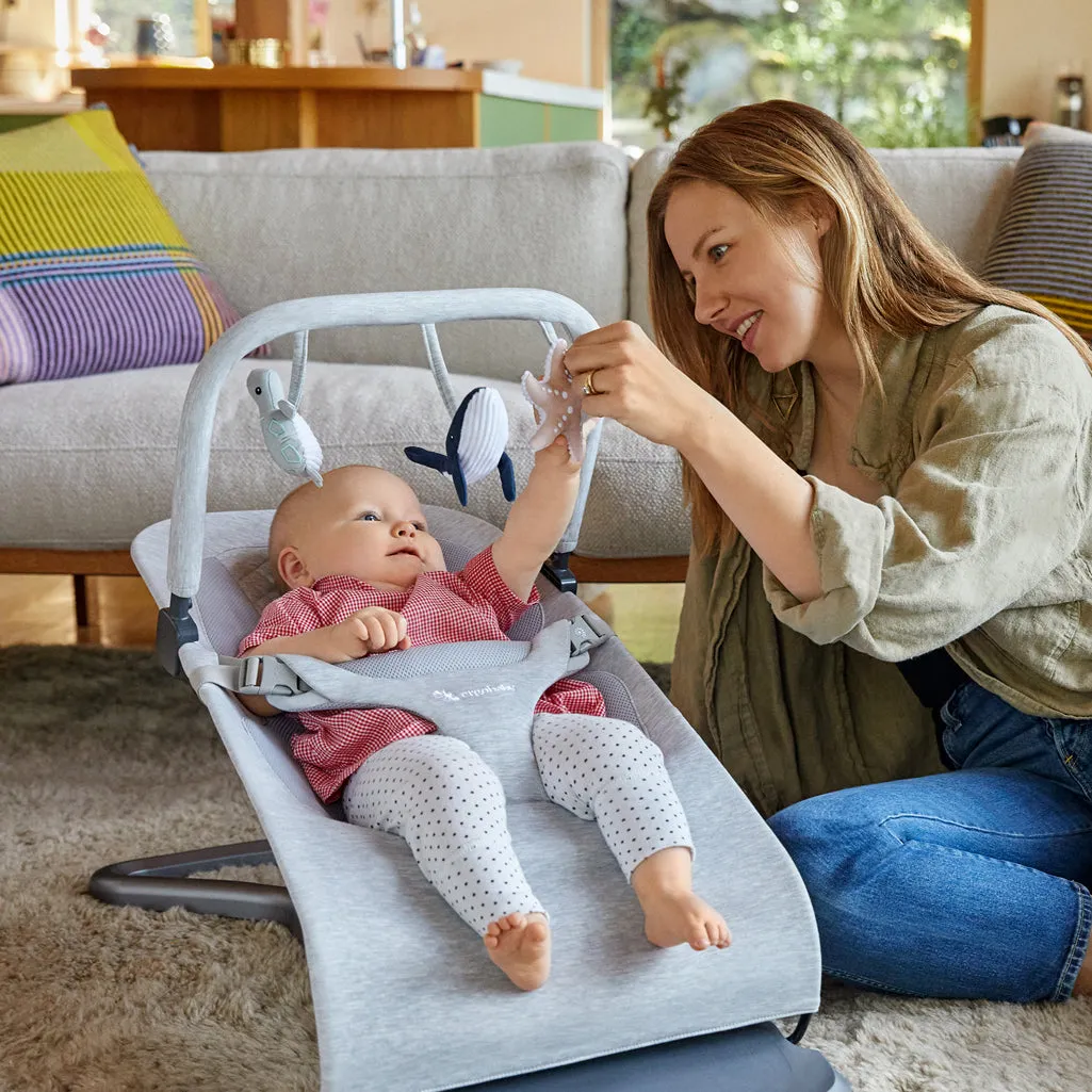 Ergobaby Evolve Bouncer Toy Bar