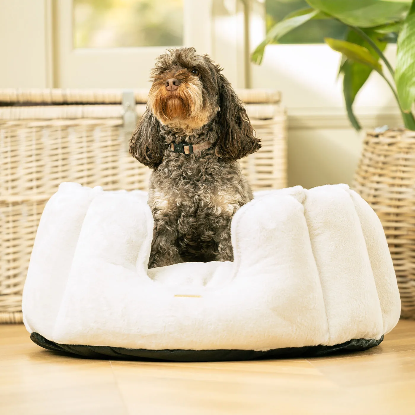 High Wall Bed in Calming Anti-Anxiety Cream Faux Fur by Lords & Labradors