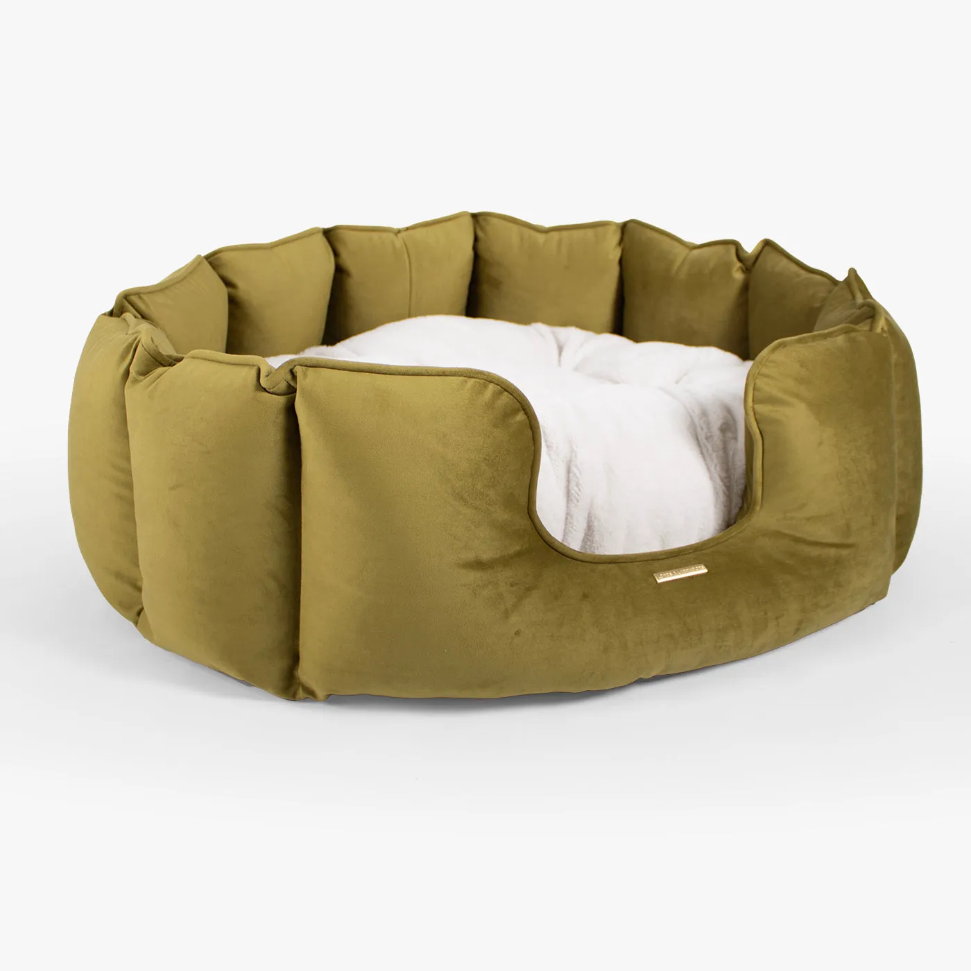 High Wall Bed With Removable Covers in Olive Velvet by Lords & Labradors