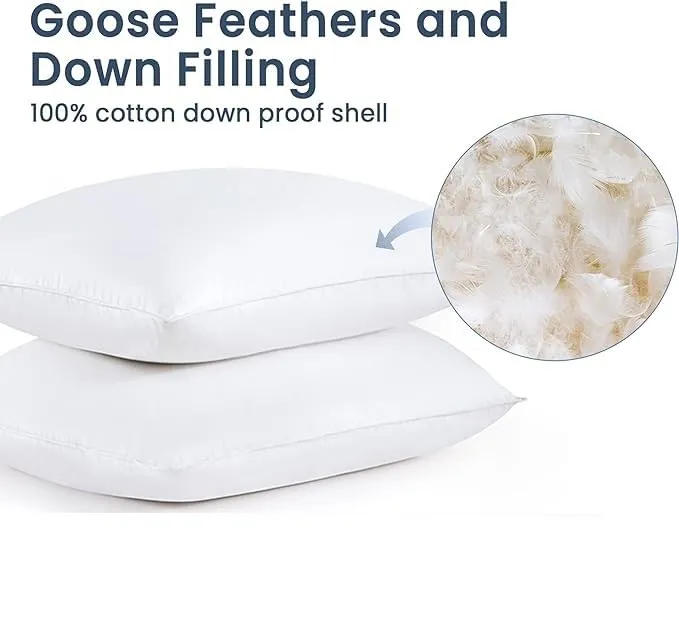 Jewear 30% Goose Down 70% Feather Luxury Cotton White Pillow Set of 2 Piece (20" X 36")