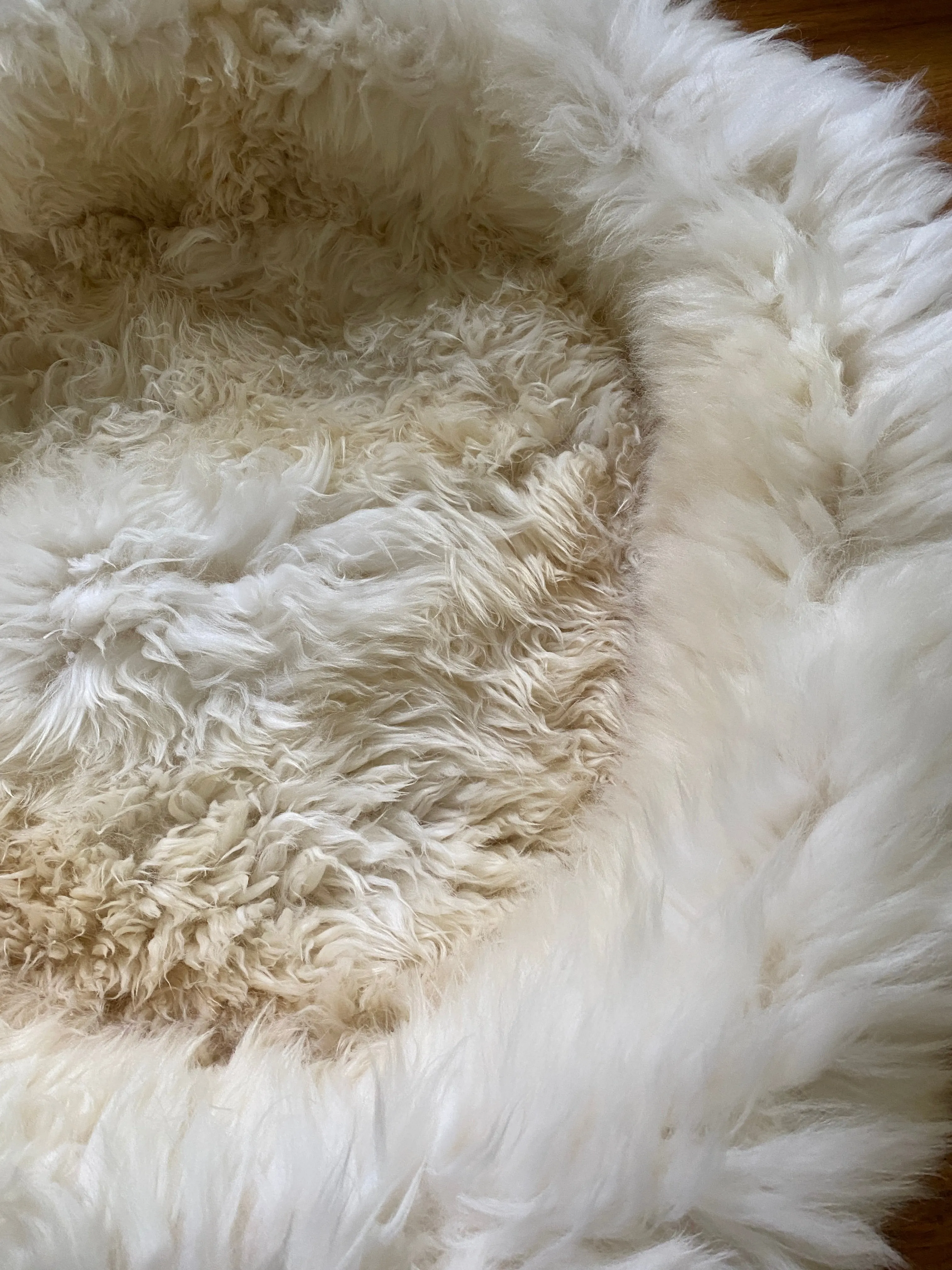 LARGE Ivory Sheepskin Pet Bed