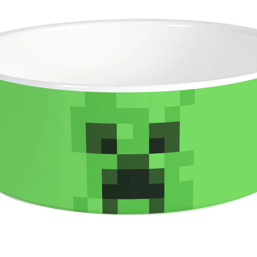 Minecraft Creeper Big Face Personalized Pet Bowl