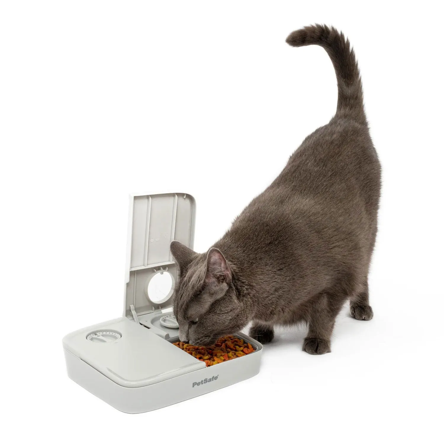 PetSafe Automatic 2 Meal Pet Feeder