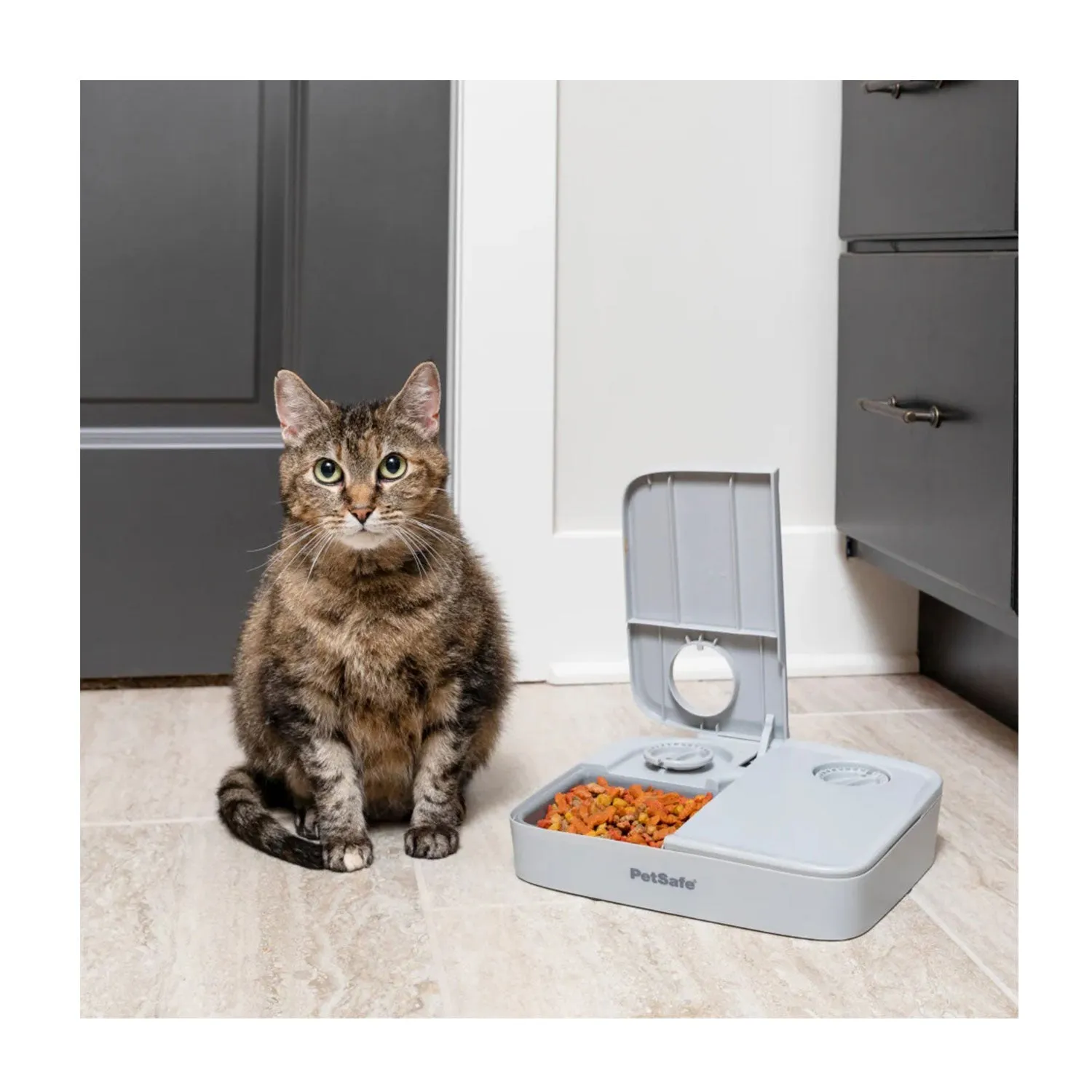 PetSafe Automatic 2 Meal Pet Feeder