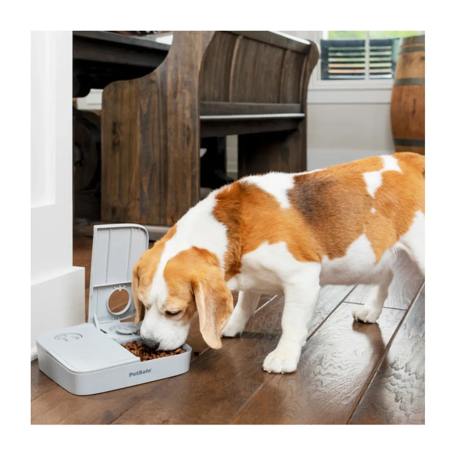 PetSafe Automatic 2 Meal Pet Feeder