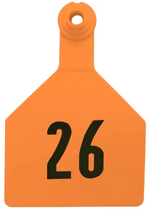 Z2 2-Piece Numbered Maxi Tags, Orange